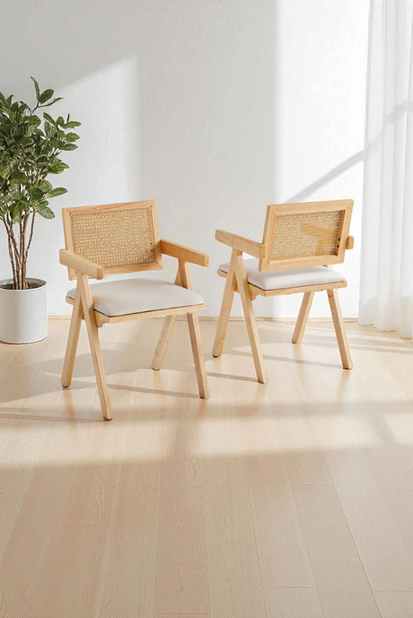 Chaises Rotina